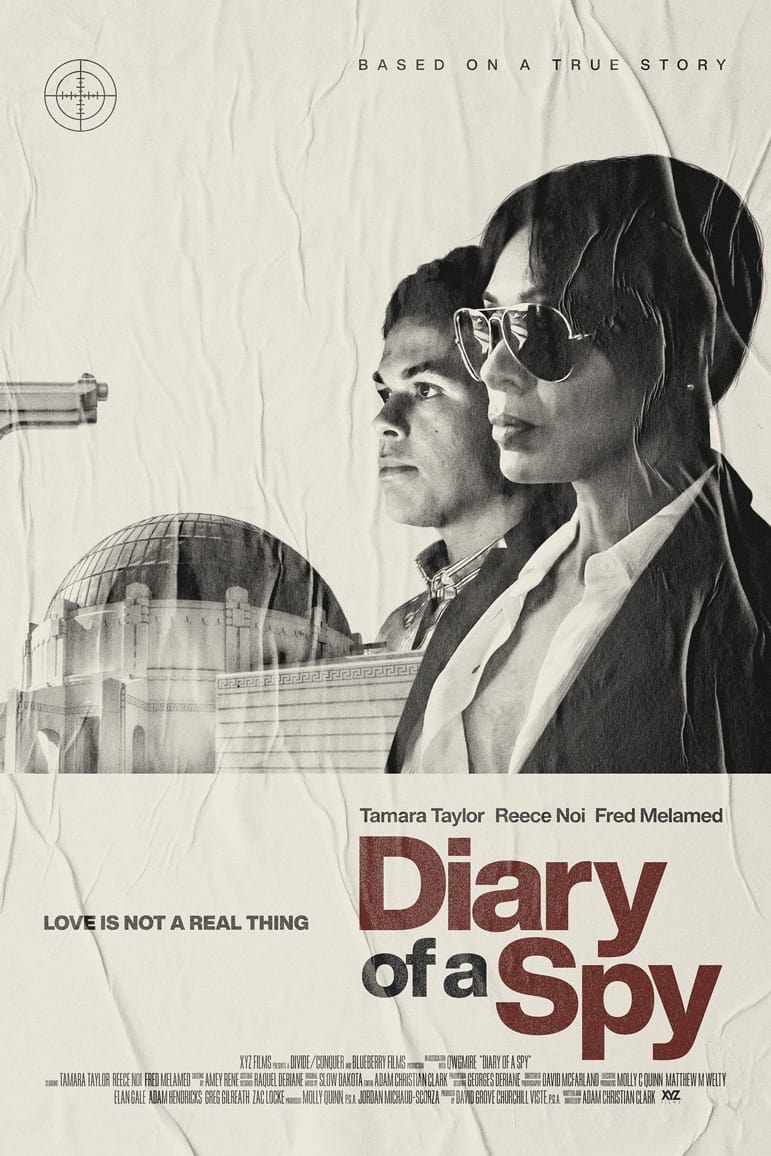 Diary of a Spy Hindi Dubbed Movie Poster (2022)