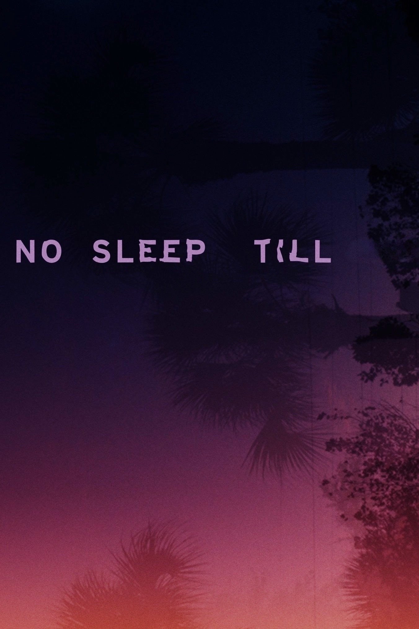No Sleep Till Hindi Dubbed Movie Poster (2025)