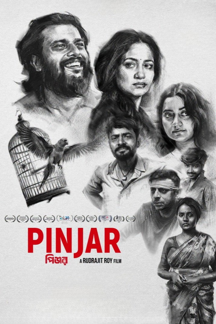 Pinjar Hindi Dubbed Movie Poster (2026)
